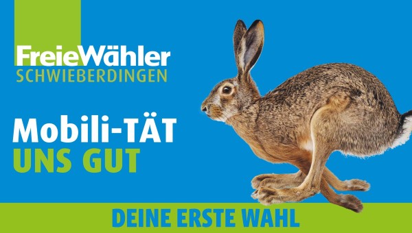 Mobili-tÄT uns Gut –  Stadtbahn »LUCIE« bis Schwieberdingen!